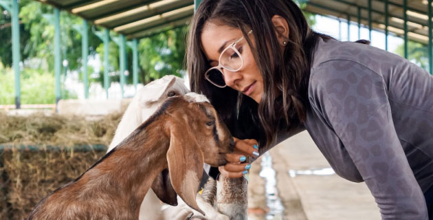Animal science
