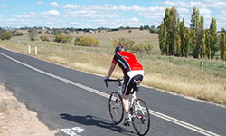 Evening exercise might be good for you: CSU research