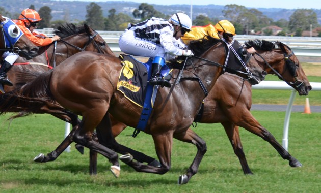 Using tranquillisers on racehorses is ethically questionable and puts horses and riders at risk